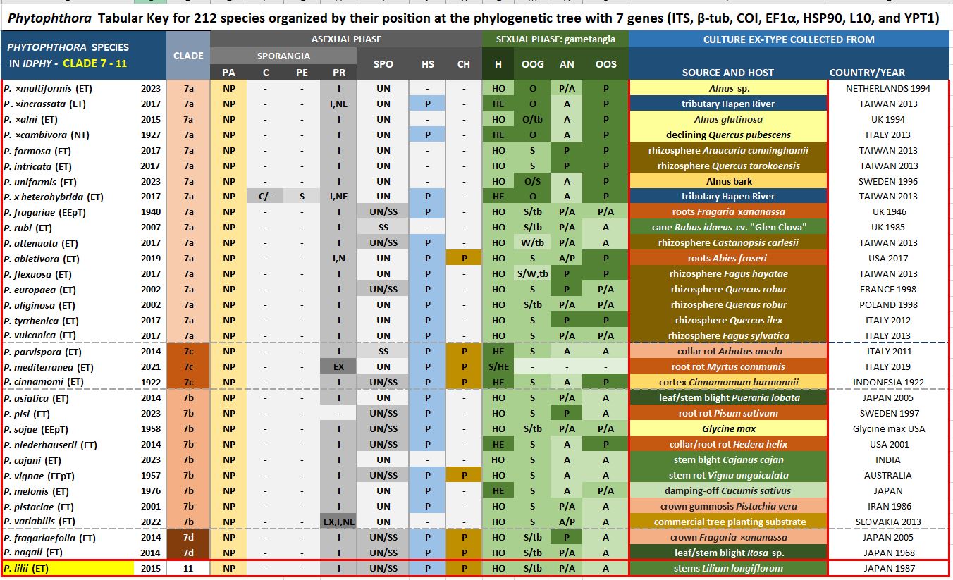    Phytophthora  spp. in Clade 11:  Morphological Tabular key (PDF) and Tabular key legends (PDF) in IDphy2 KEY SECTION. Notice the data of   P. lilii  Ex-type CBS 135746 = Samp;T BL 123 . Gloria Abad, USDA Samp;T.

